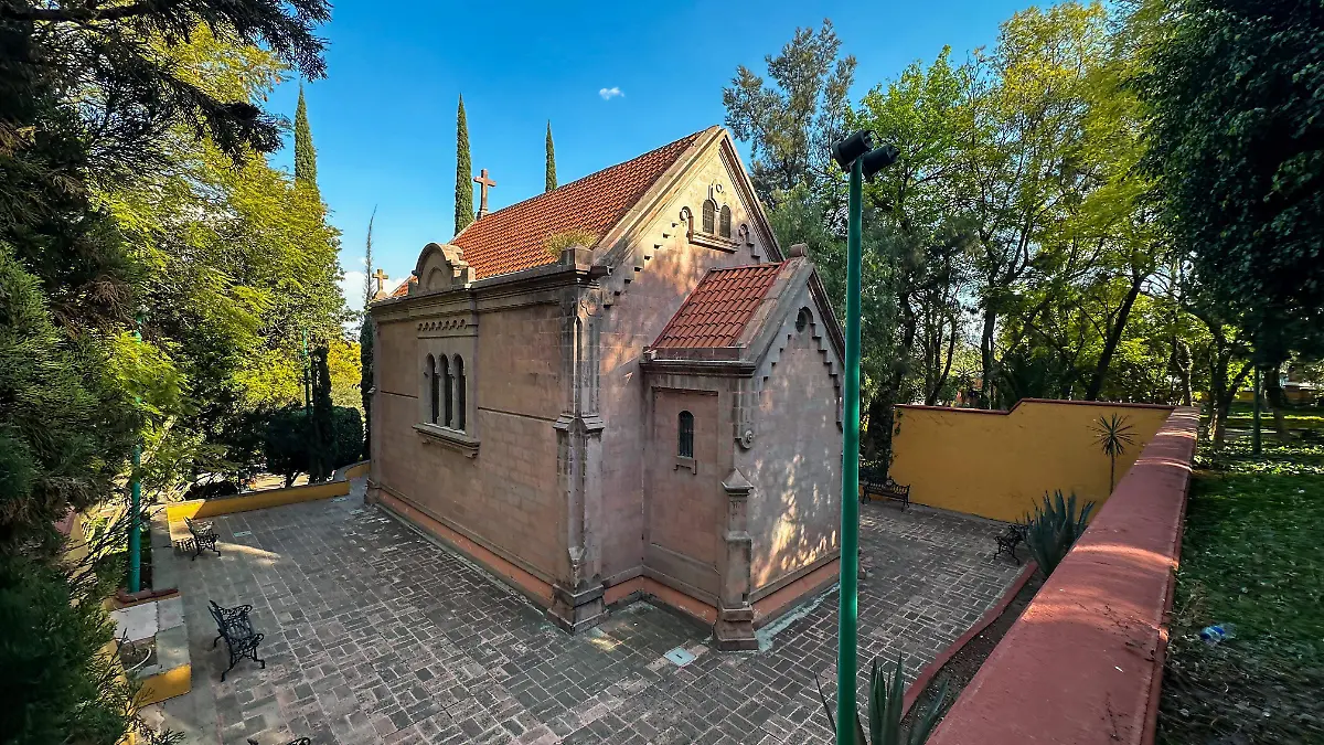 WhatsApp Image 2026-02-16 at 13.26.32