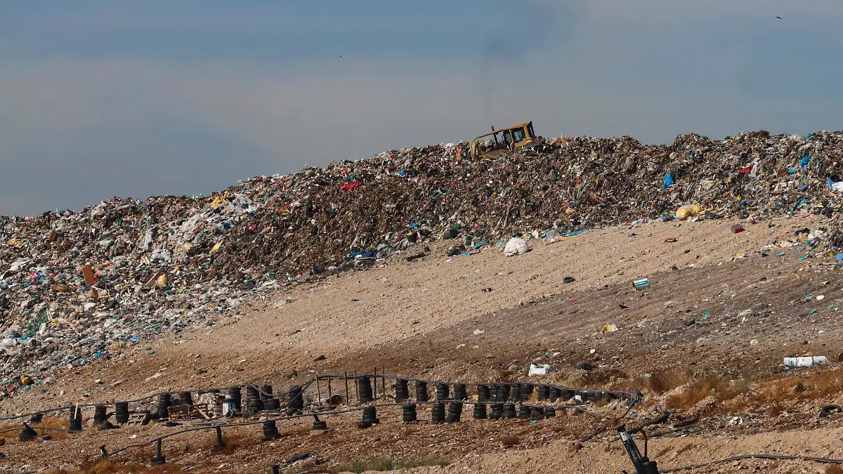 WhatsApp Image 2026-02-16 at 14.25.11