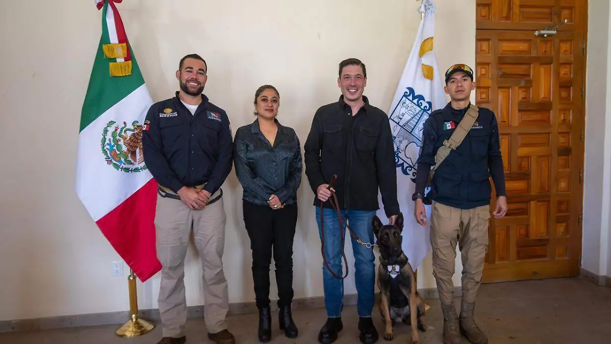 PROGRAMAS MUNICIPALES