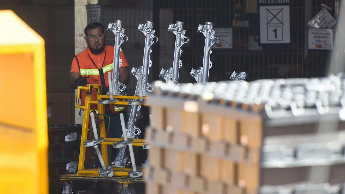 WhatsApp Image 2026-02-16 at 14.46.54