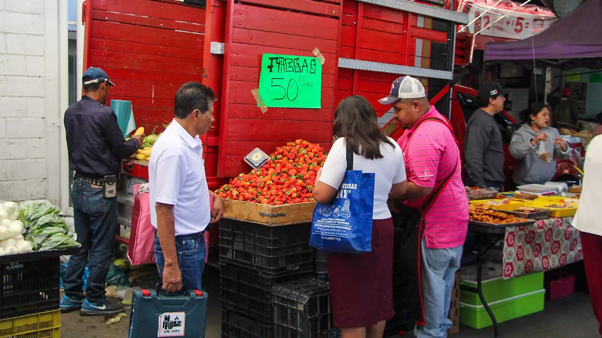 WhatsApp Image 2026-02-16 at 11.17.07