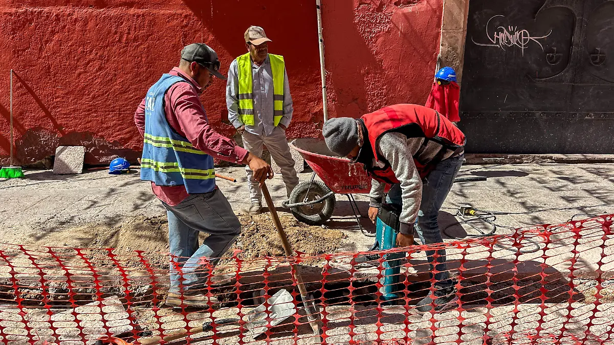 WhatsApp Image 2026-02-18 at 09.19.06