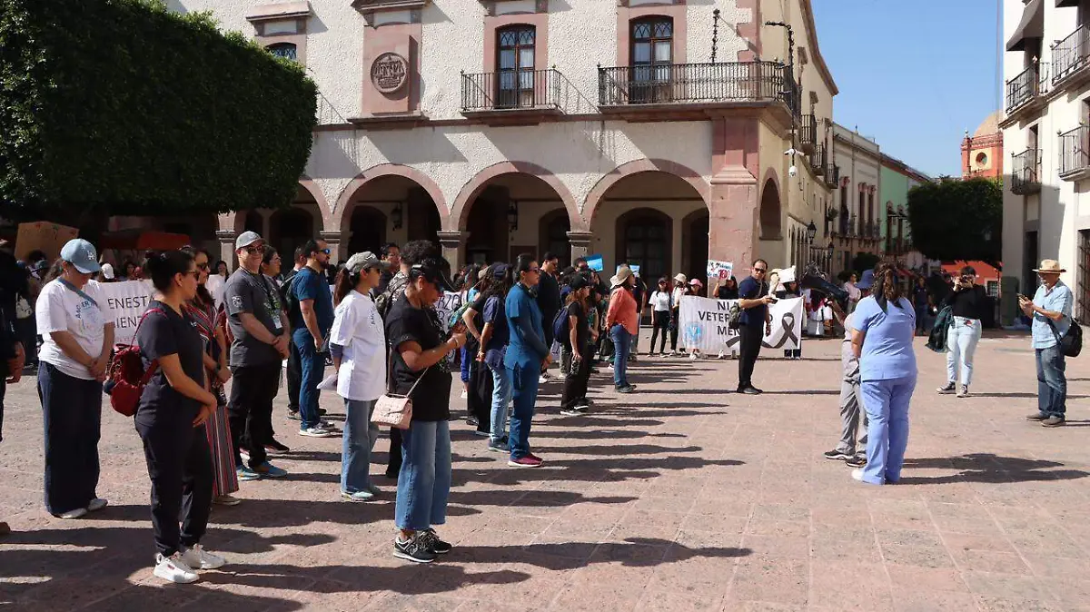 WhatsApp Image 2026-02-18 at 10.47.05