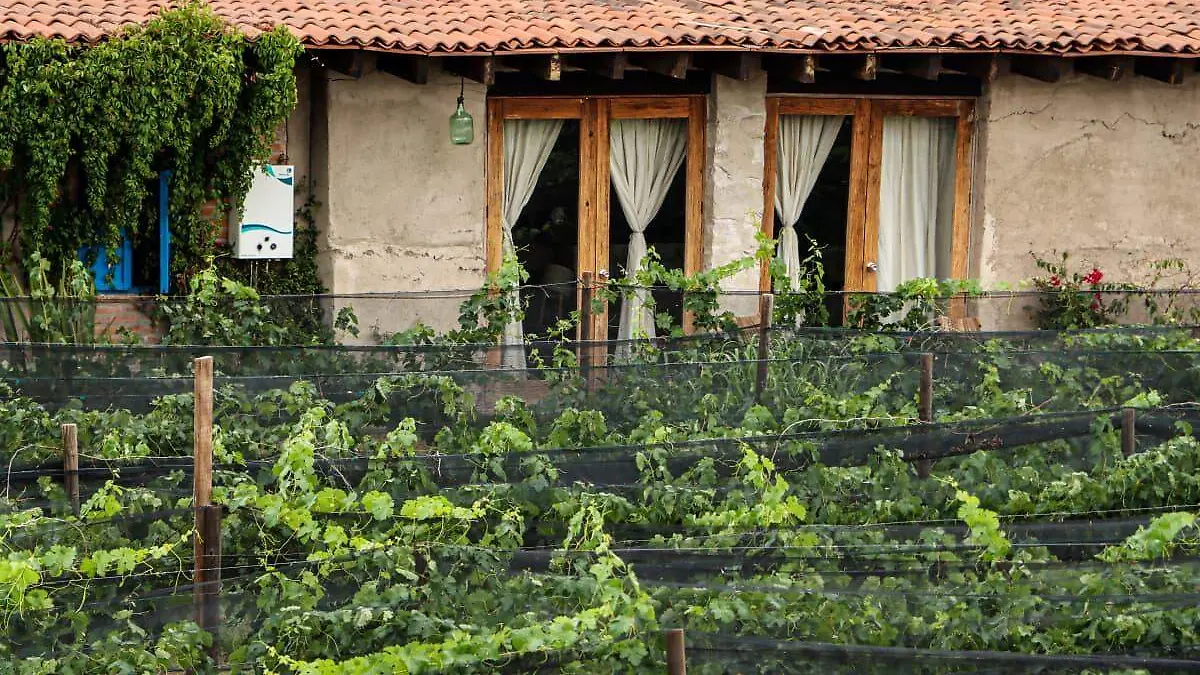 WhatsApp Image 2026-02-18 at 3.42.10 PM (1)