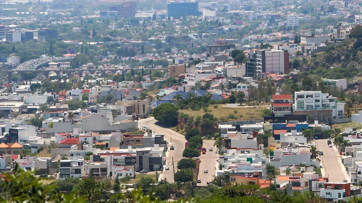 WhatsApp Image 2026-02-19 at 14.59.42