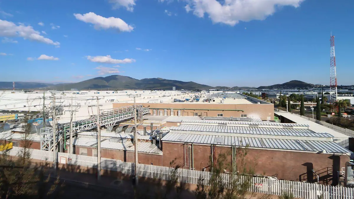 WhatsApp Image 2026-02-22 at 11.13.26