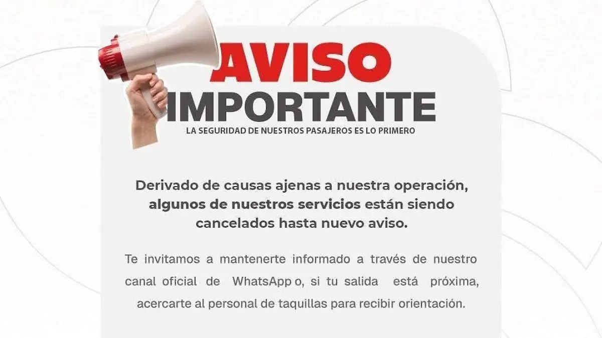 WhatsApp Image 2026-02-22 at 12.36.07 PM