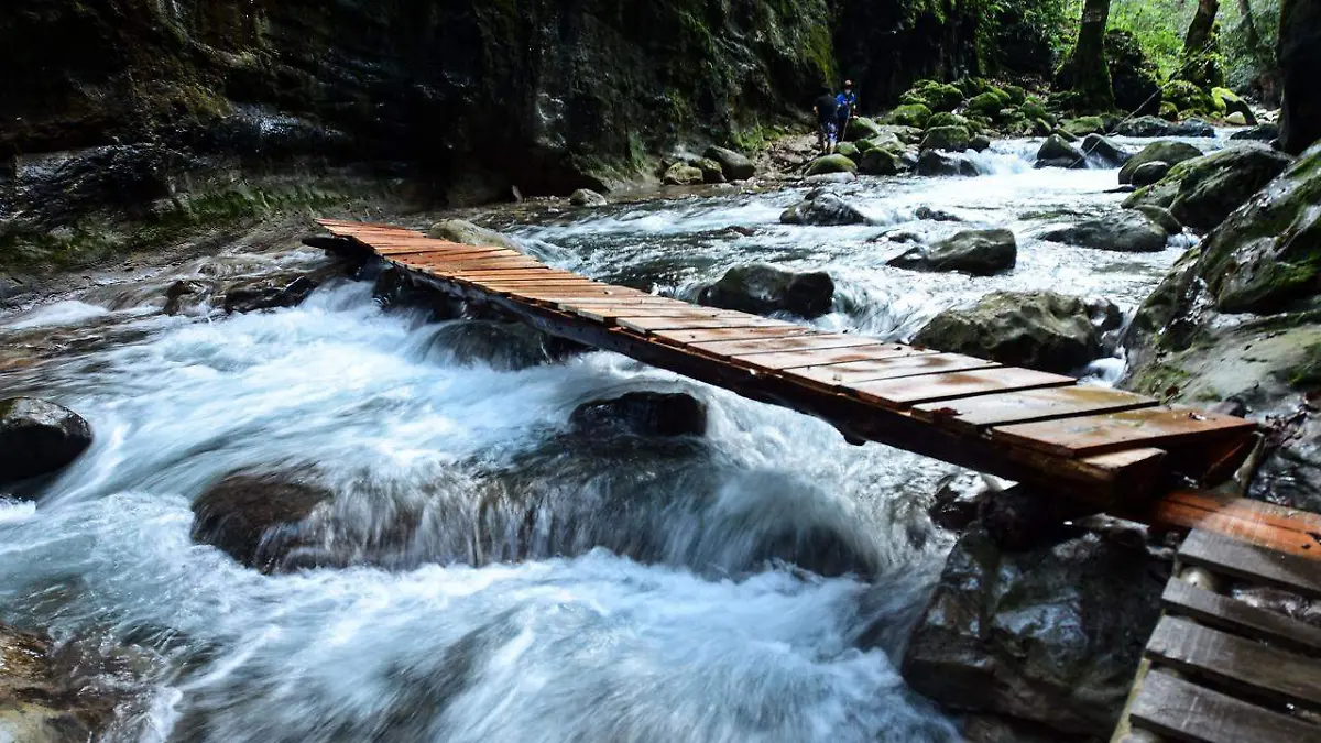 c3d72fce-5708-45cb-abb3-162a1f661777