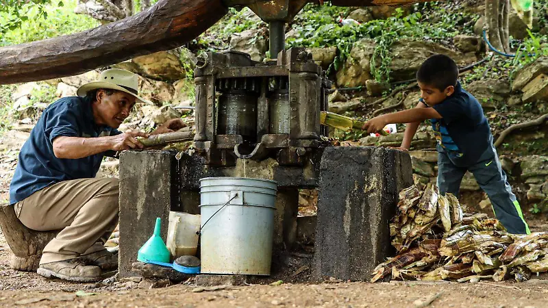 ESCAPADAS QUERETANAS 