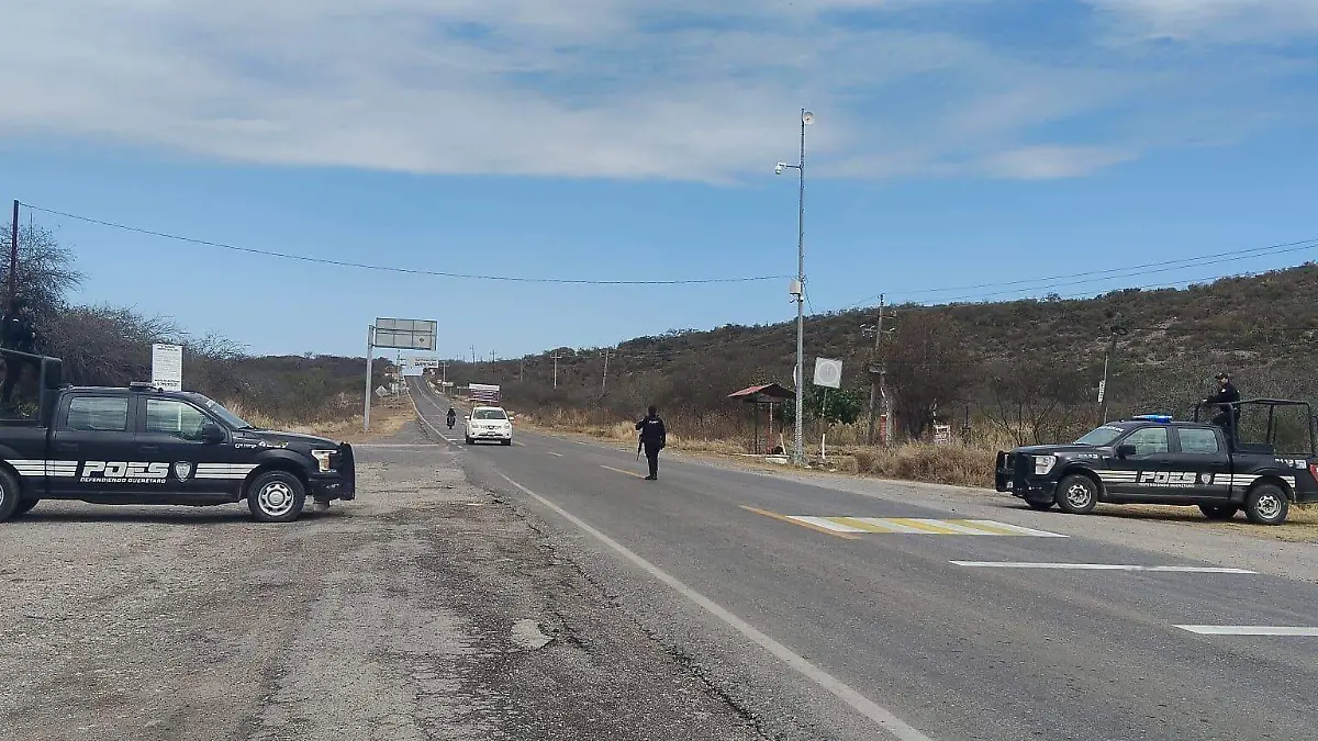 WhatsApp Image 2026-02-22 at 11.39.32 AM