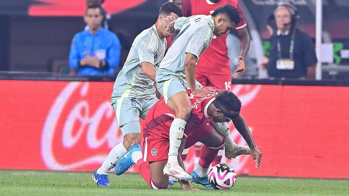 WhatsApp Image 2026-02-23 at 15.34.12