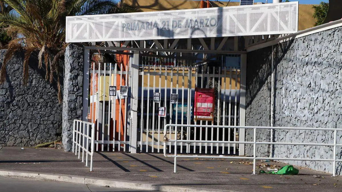 WhatsApp Image 2026-02-23 at 17.29.49