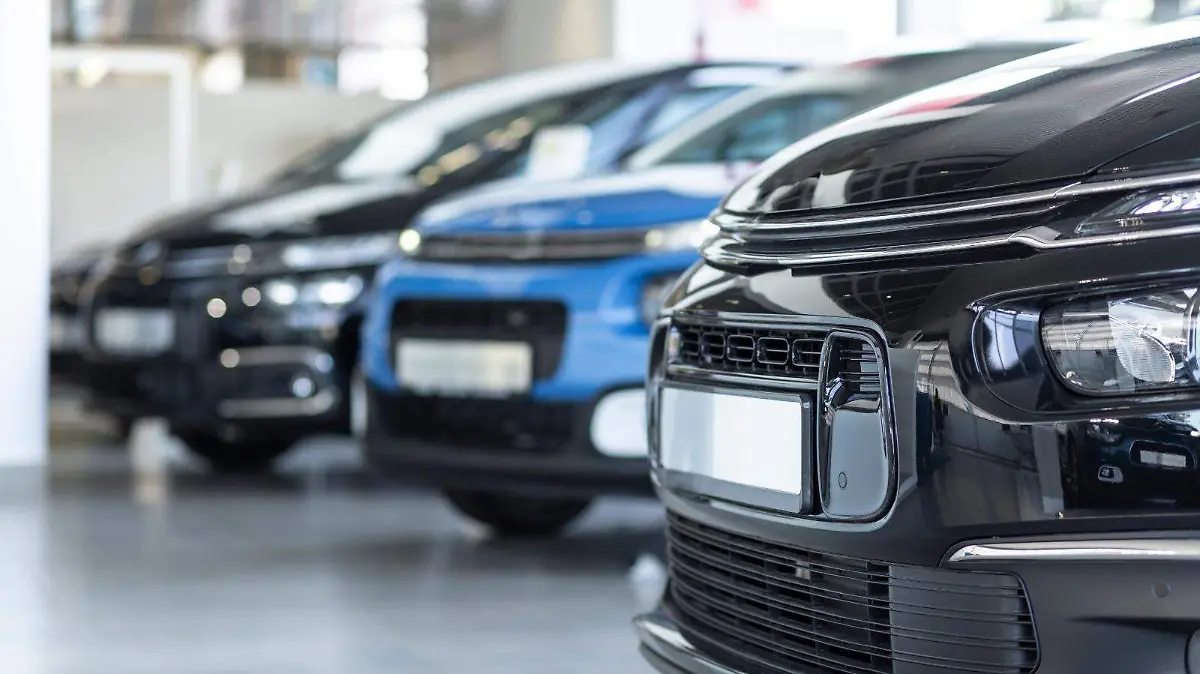 WhatsApp Image 2026-02-23 at 10.19.18