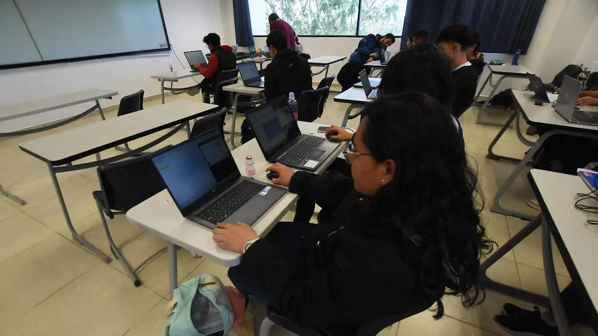 WhatsApp Image 2026-02-24 at 11.53.43