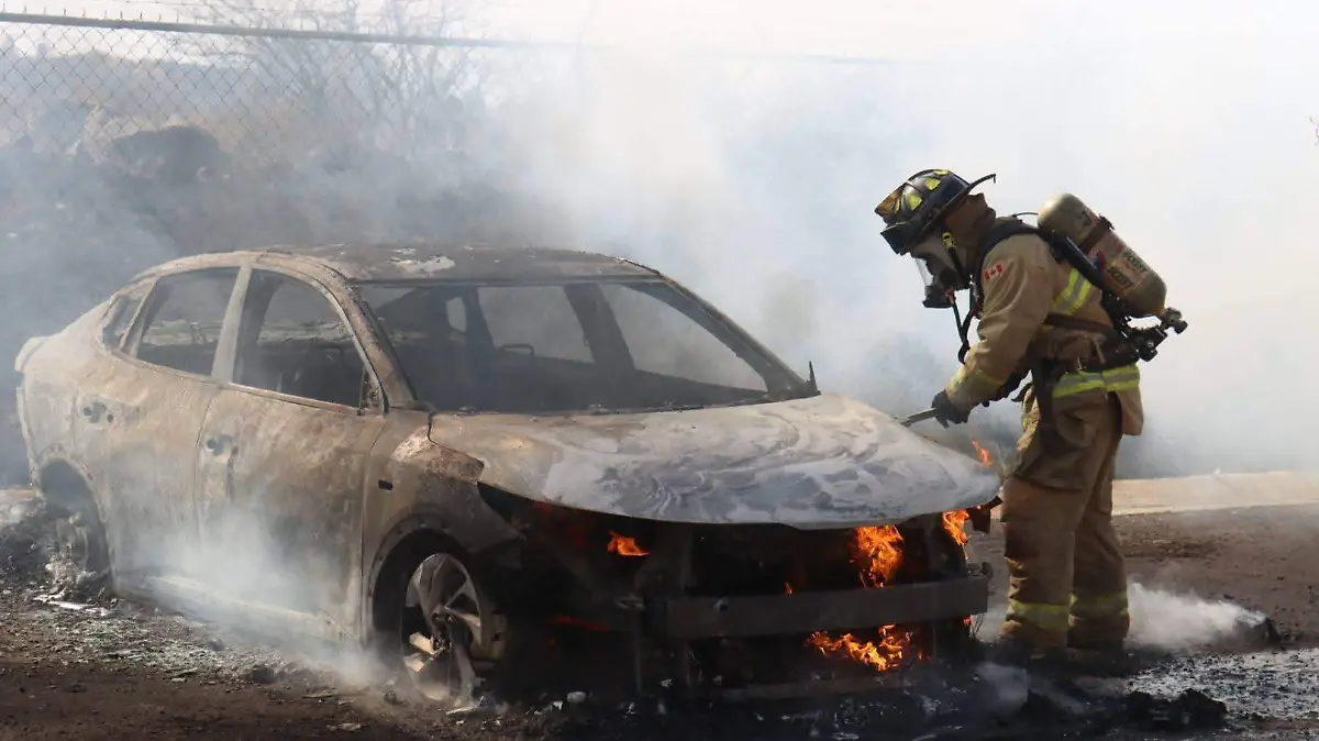 FB_IMG_1771975654828