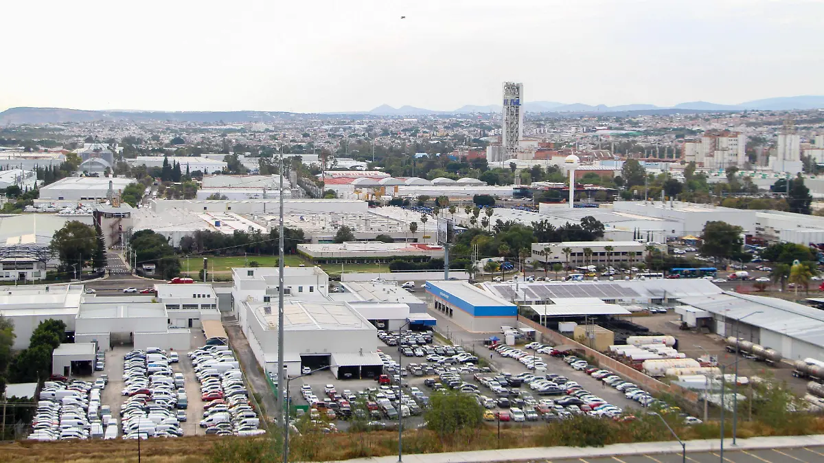 WhatsApp Image 2026-02-25 at 15.44.24