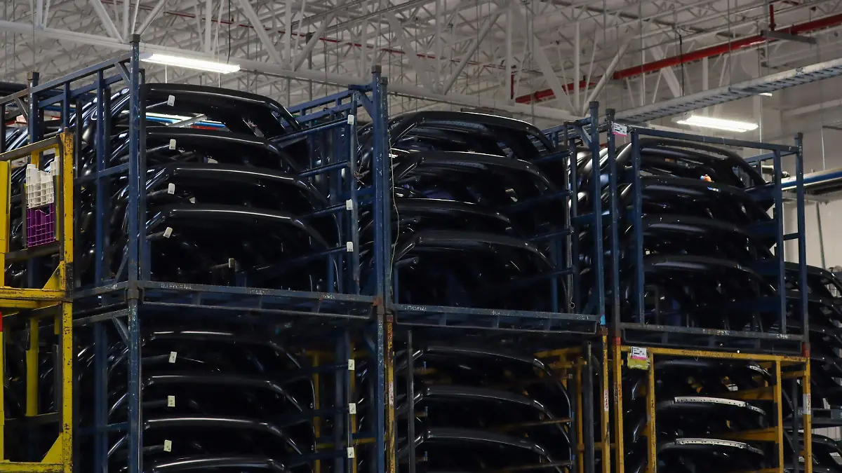 WhatsApp Image 2026-02-25 at 15.44.59