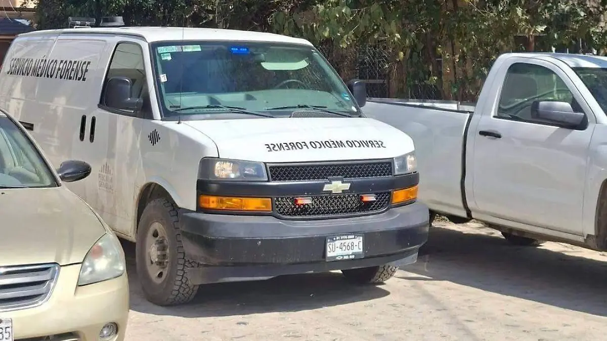 2fa40975-741e-48b6-832b-7174c7d3eaea