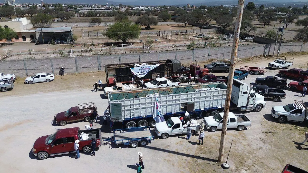 3a510061-5a4a-4455-aed2-dccb3ddb0b0a