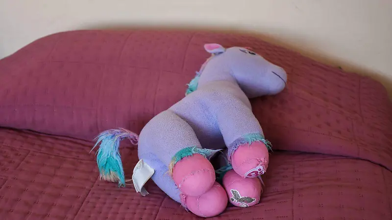 Unicornio: simboliza magia, creatividad, amor y protección