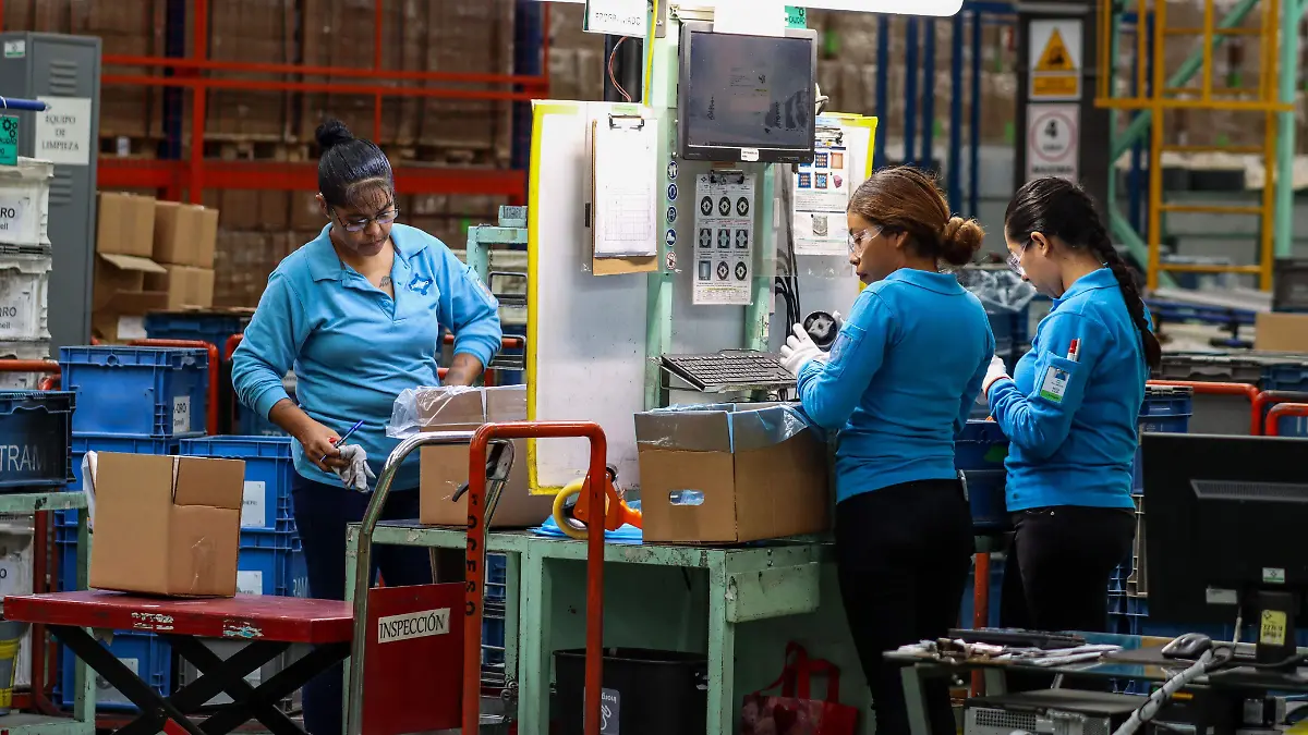 WhatsApp Image 2026-03-01 at 14.36.37