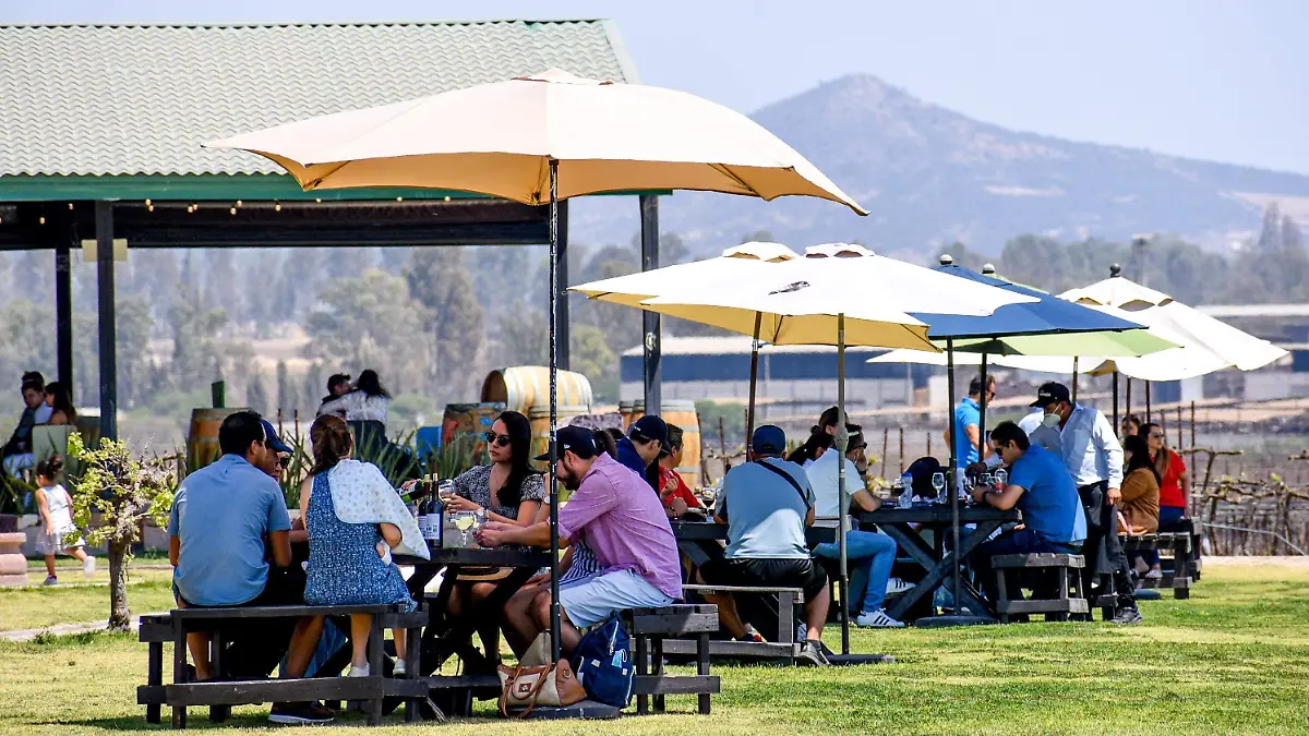 WhatsApp Image 2026-03-01 at 14.35.20