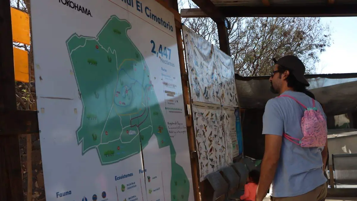 WhatsApp Image 2026-03-01 at 1.25.39 PM (1)