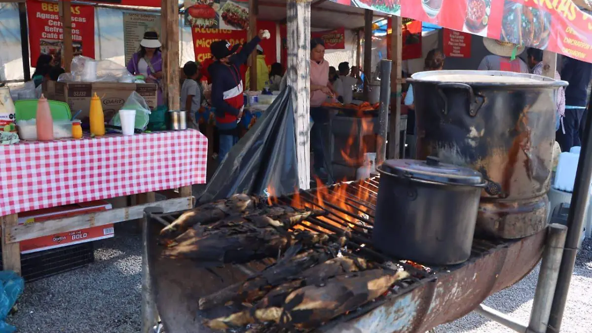 WhatsApp Image 2026-03-01 at 1.25.26 PM