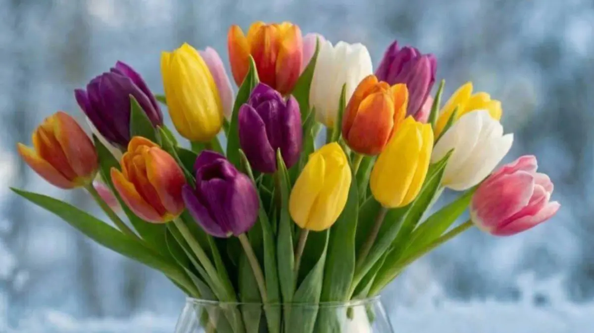 865ce268-2df5-4fd2-9a2e-540a86cc0d73