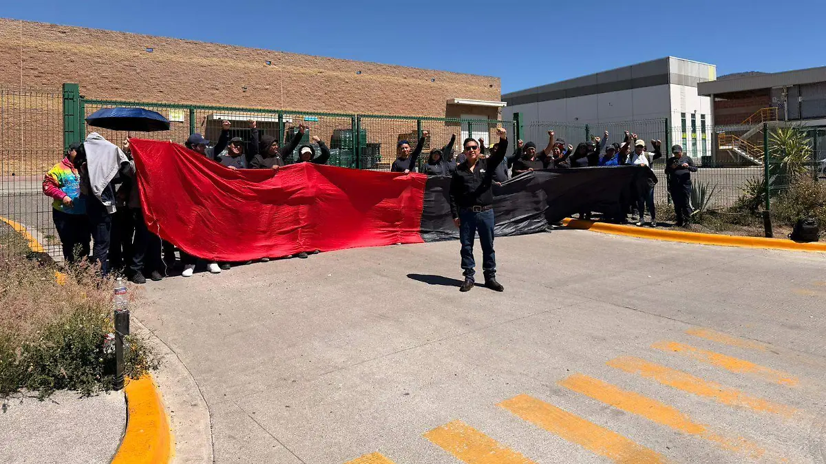 WhatsApp Image 2026-03-02 at 13.58.48