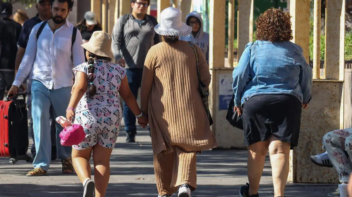 3ad1fb47-ebb3-46fb-b0c1-efe972043394