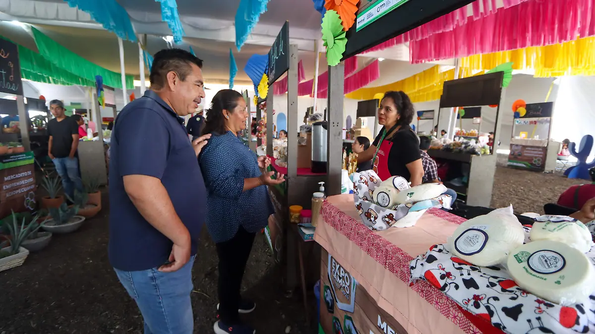 ACTIVIDADES INCLUYEN