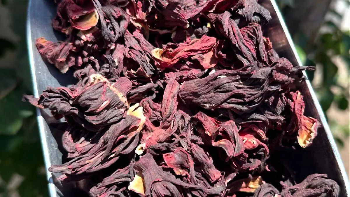 57cce176-3fa9-43a4-bad2-72118a331577