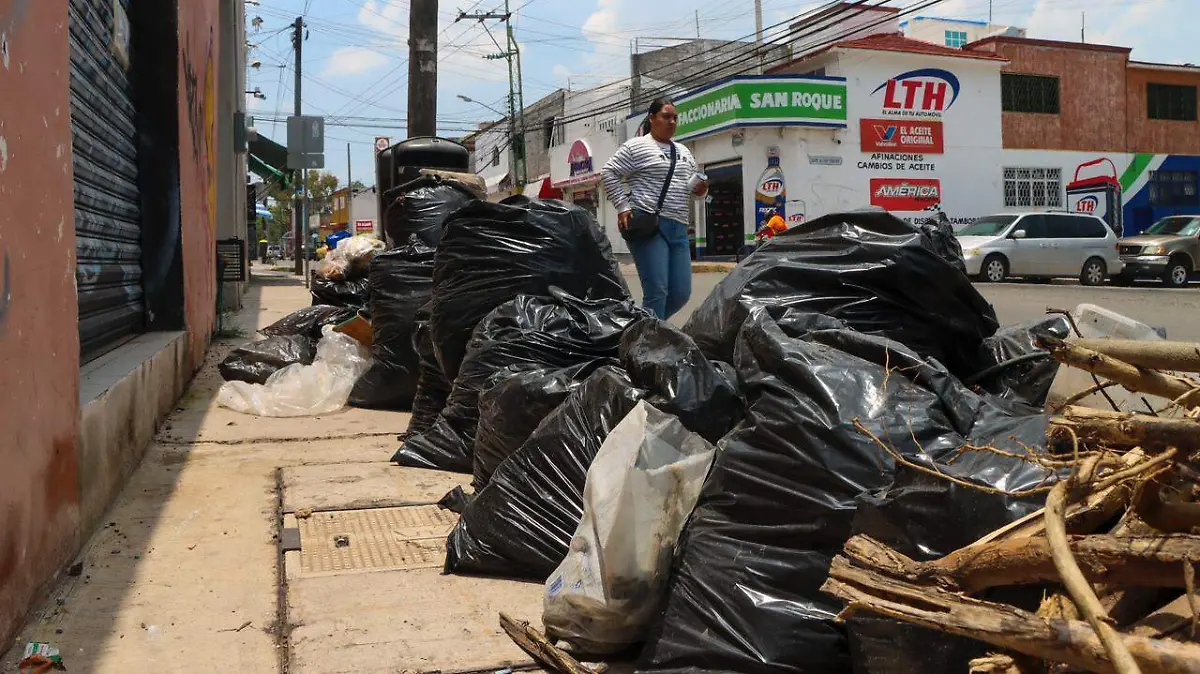 WhatsApp Image 2026-03-05 at 11.48.48