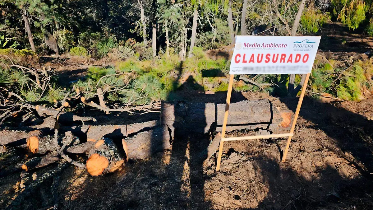 AUTORIDADES ASEGURARON