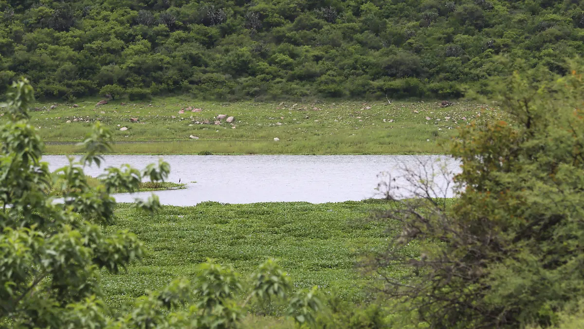 250618_PRESA EL BATAN_HA_5