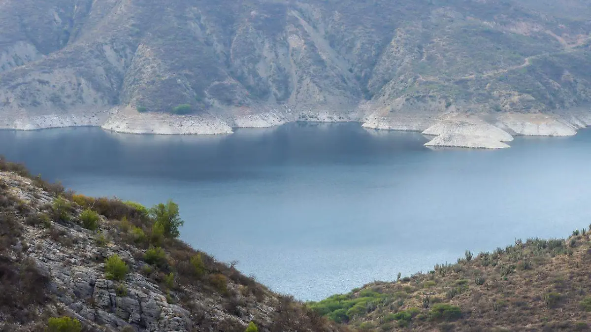 WhatsApp Image 2026-03-06 at 12.45.37 PM