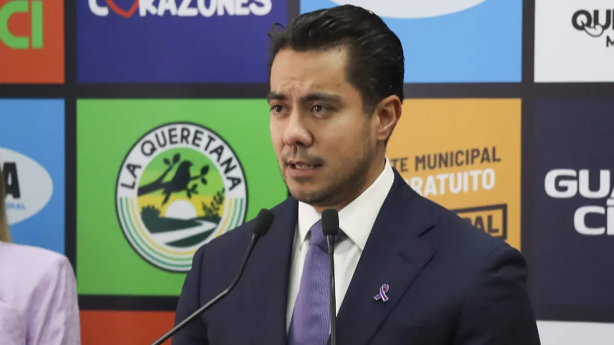 260305_RP FELIFER_HA