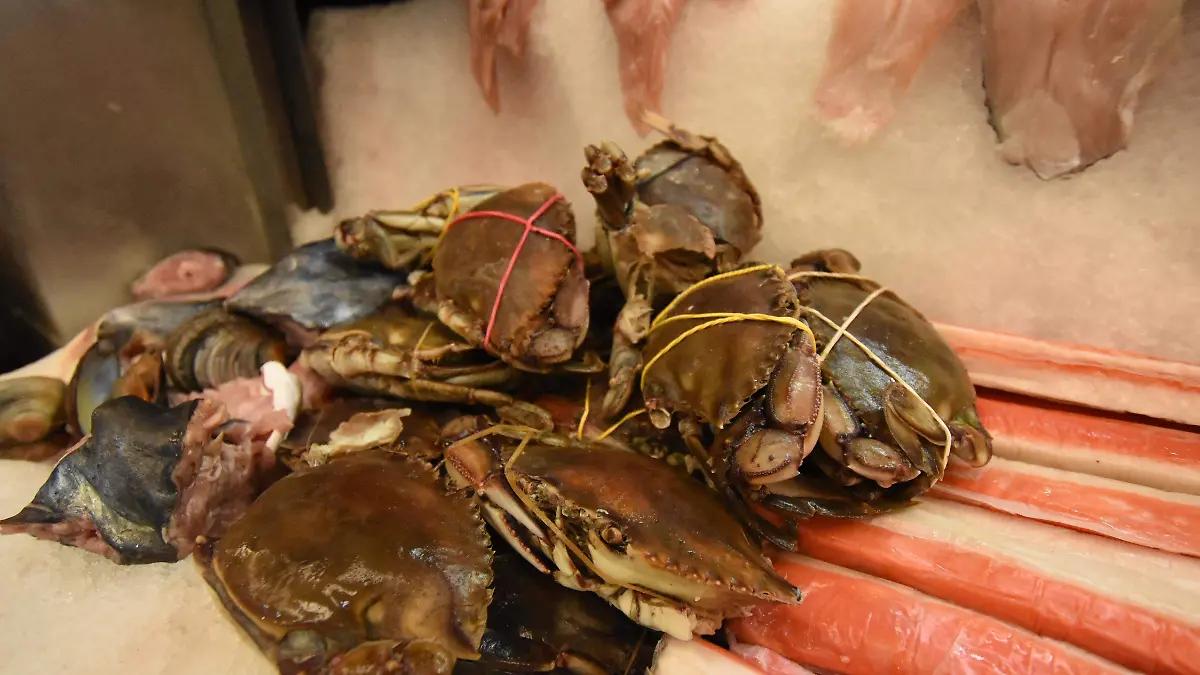 230404_PESCADO Y MARISCO_MC (9)