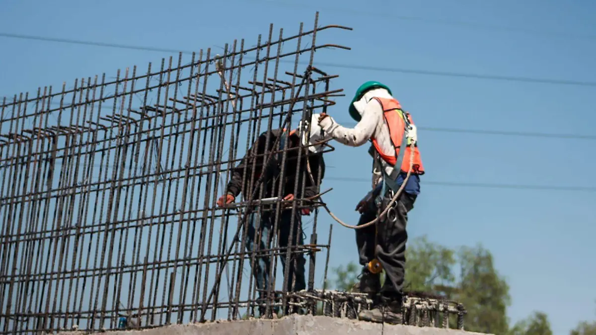 WhatsApp Image 2026-03-08 at 12.56.06 PM