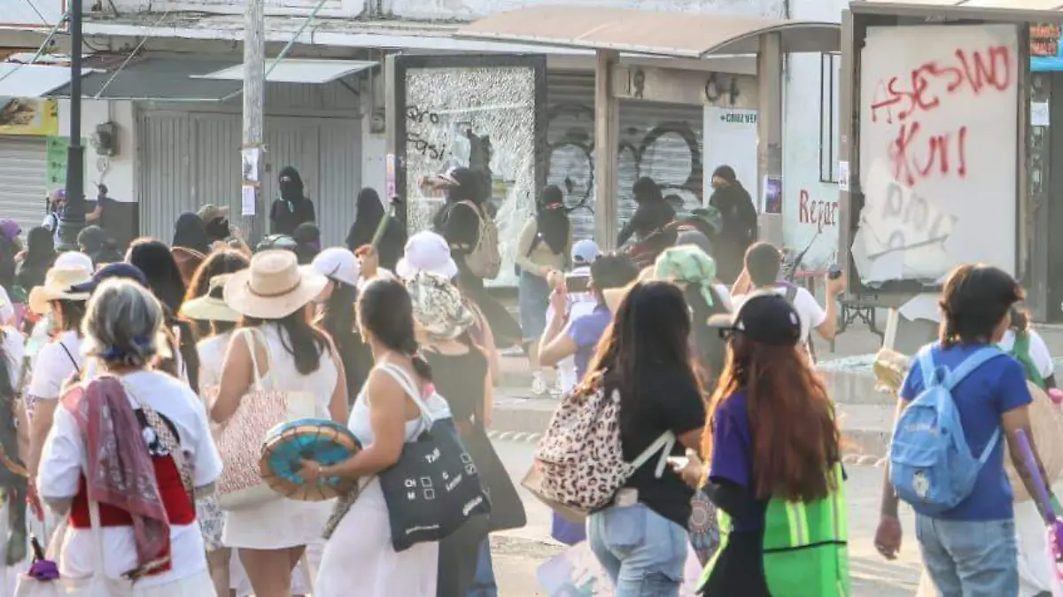 WhatsApp Image 2026-03-08 at 7.50.11 PM (1)