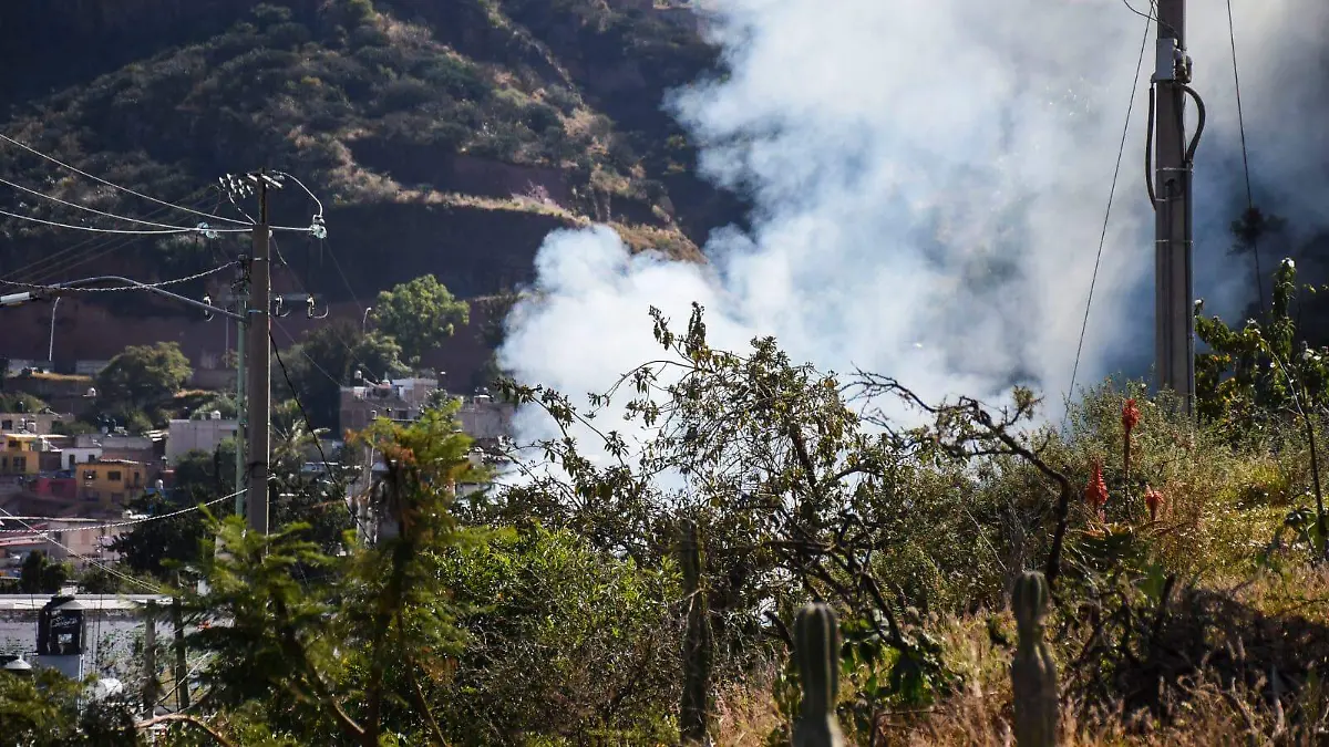 WhatsApp Image 2026-03-09 at 11.59.44