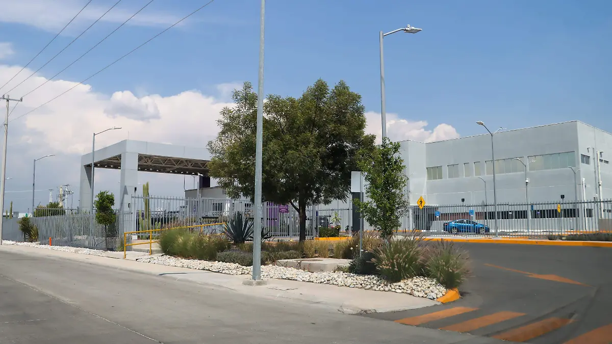 WhatsApp Image 2026-03-10 at 17.45.33