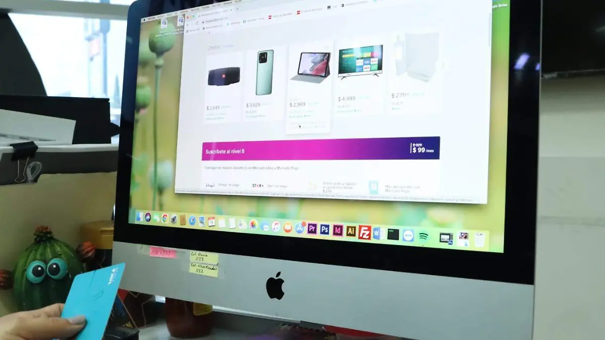 WhatsApp Image 2026-03-11 at 13.39.06