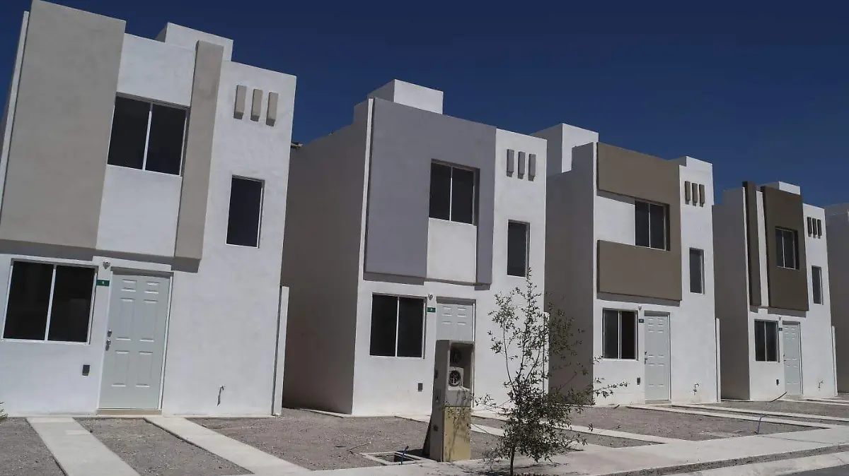 WhatsApp Image 2026-03-11 at 13.46.53