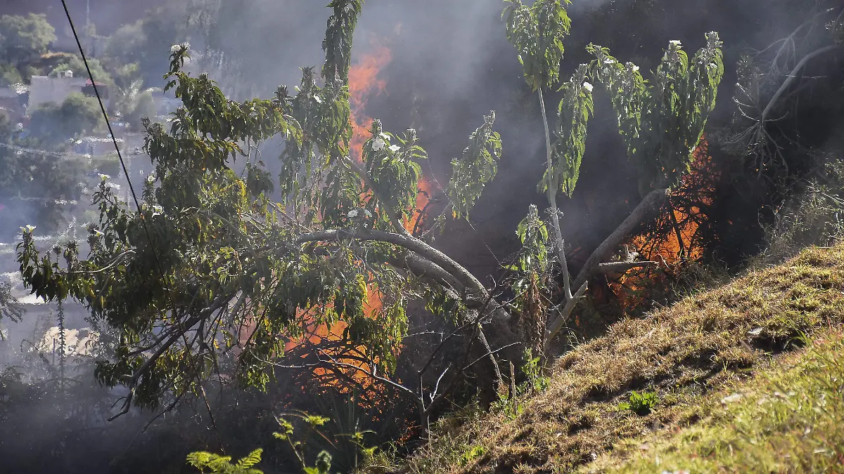 251112_INCENDIO DE VIVIENDA PRIV PINO SUAREZ HERCULES_MC_10