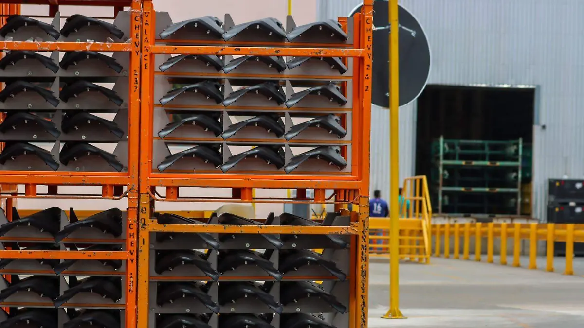 WhatsApp Image 2026-03-12 at 14.47.23