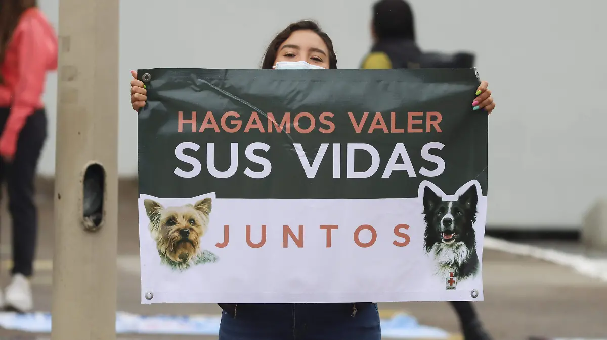 220816_MANIFESTACION_ATHOS TANGO_HA