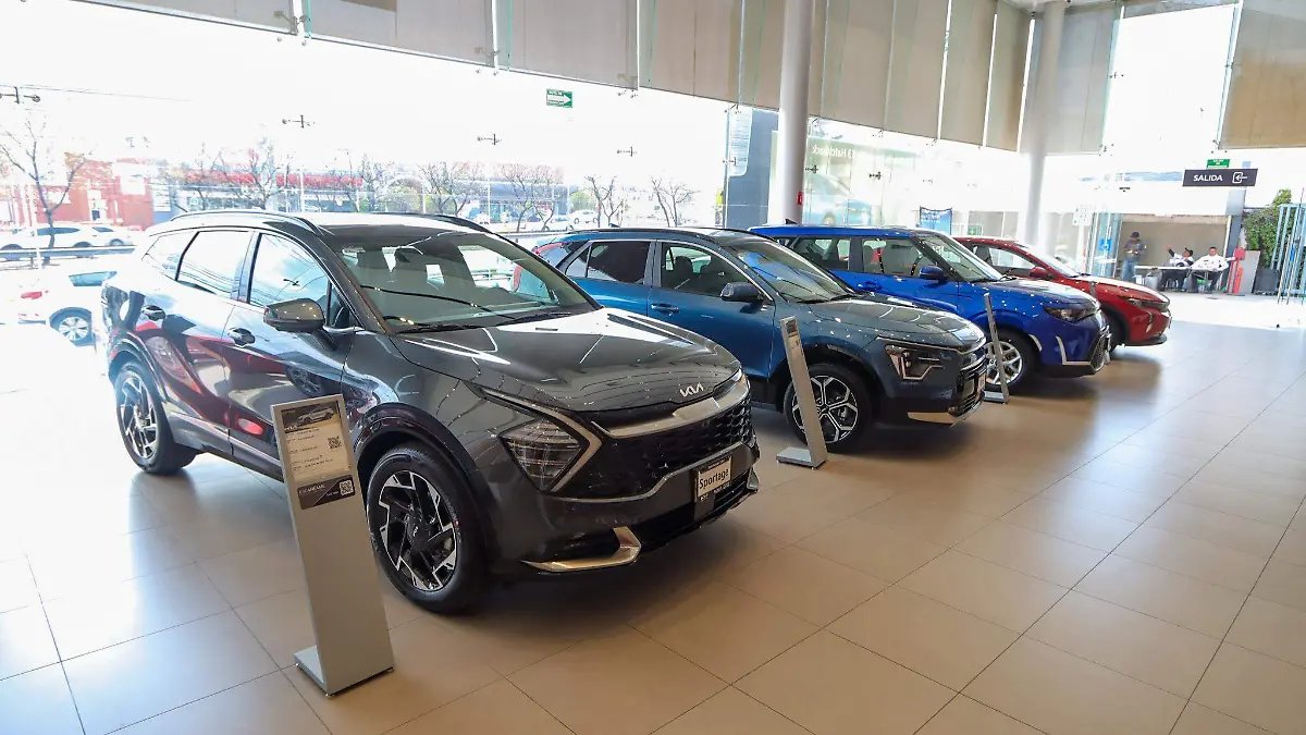 WhatsApp Image 2026-03-18 at 16.33.32