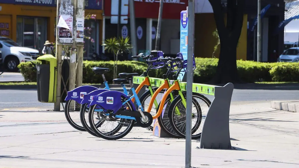 WhatsApp Image 2026-03-19 at 15.17.12